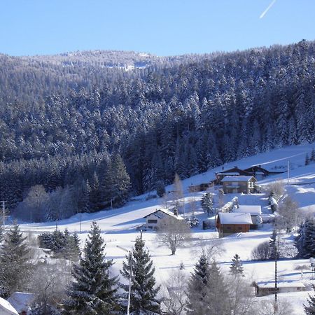 Chalet Renove Proche Du Valtin - Ideal Pour Famille, Randonnees Et Ski, Wifi, Luges Fournies - Fr-1-589-150 Ban-sur-Meurthe-Clefcy Exterior photo